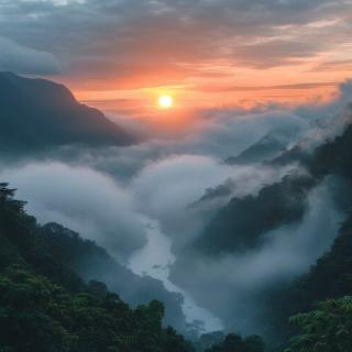 cloud-forest-landscape